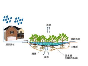 技術(shù)開發(fā) 從概念到實(shí)踐